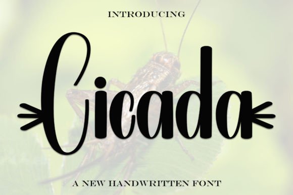 Cicada Font: Elegant Script for Editorial Design