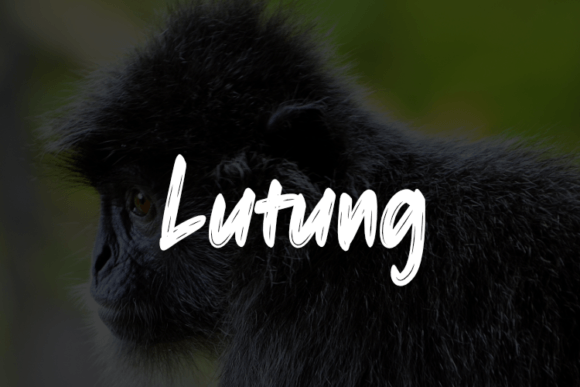 Lutung Font for Creative Makers