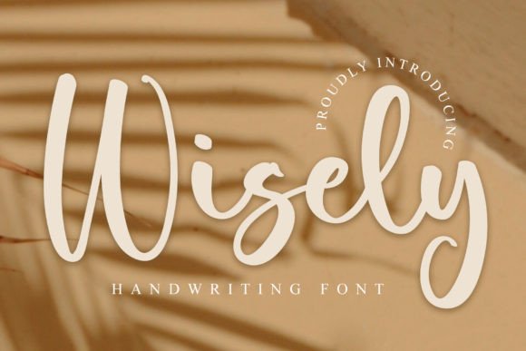 Wisely Font for Web Design